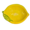 Oldenhof Citroen Saladekom 31 X 23 Cm Aardewerk