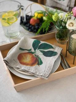 Oldenhof Fruits Servet 45 X 45 Cm Linnen 6 Stuks -Oldenhof linoroom napkins fruits vertical lowr4