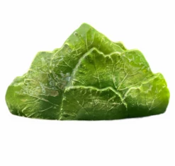 Oldenhof Blad Servethouder Aardewerk Groen