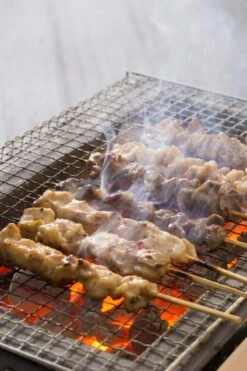 Oldenhof Konro Grill Diatomite Japanse Barbecue B-9 31 X 23 X 20 Cm -Oldenhof shutterstock 556753543 2